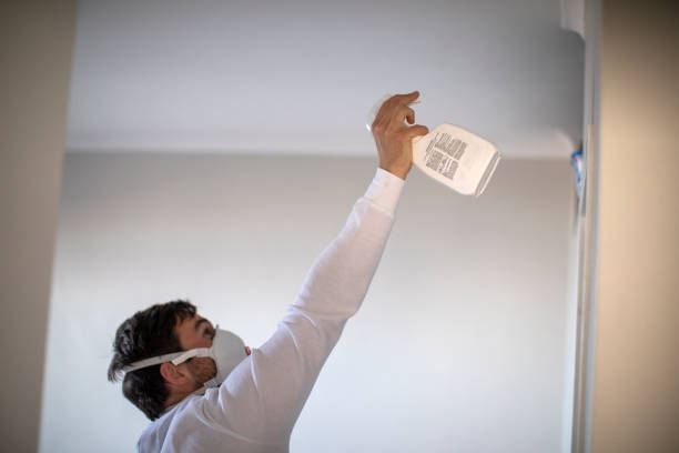 Best Kitchen Mold Remediation in Bell Gardens, CA